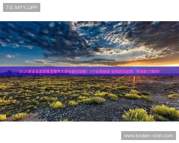 体育app避坑指南 大型体育赛事预热必看